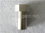 Stainless steel Female Fitting