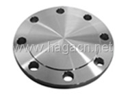 Blank Flange