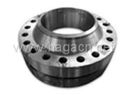 Integral Flange