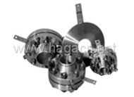 Hole Blank Flange