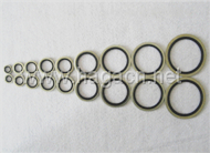 BSP Standard Bonded Washer