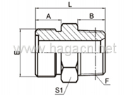 Metric Male O-Ring/NPT Male