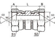 BSP Female 60 Cone