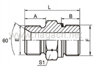 BSP Male O-Ring