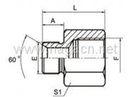 BSP Female ISO 1179