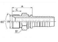 BSP Male 60 Cone Seat