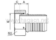 BSP Feamle Multiseal