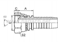 BSP Female 60 Cone