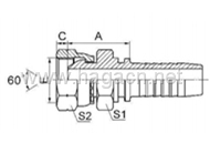 BSP Female 60 Cone Double Hexagon