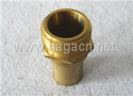Brass Male Fitting