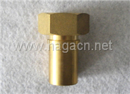 Brass Female Fitting
