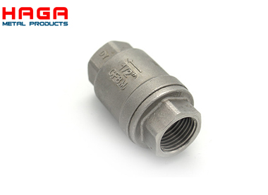 Vertical check valve